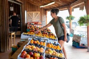 Woman Picking Fruits